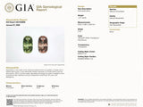 1.67cts GIA Natural Alexandrite Color Change Gemstone - Oval Shape - 23683C/R