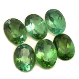 7.60cts 6Pcs Lot Natural Green Tourmaline Gemstone - 8X6MM - Oval Shape - 25189RGT
