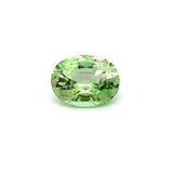3.24cts Natural Mint Green Tsavorite Garnet Gemstone - Oval Shape - 25805RGT