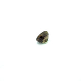 0.66cts Natural Alexandrite Color Change Gemstone - Oval Shape - 25892NGRGT