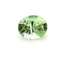 3.37cts Natural Green Tourmaline Gemstone - Oval Shape - 26610RGT