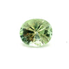 4.05cts Natural Green Tourmaline Gemstone - Oval Shape - 26611RGT