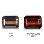 8.59cts Natural Color Change Garnet Gemstone Tanzania - Octagon Shape - 527RGT1- AIGS Certified