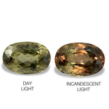 10.34cts Natural Khaki Green Diaspore Color Change Gemstone - Oval Shape - 796RGT