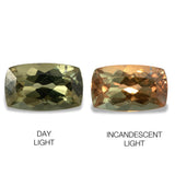5.79cts Natural Khaki Greeen Diaspore Color Change Gemstone - Cushion Shape - 804RGT