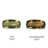 8.88cts Natural Khaki Green Diaspore Color Change Gemstone - Cushion Shape - 814RGT