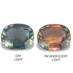 2.34cts Natural Alexandrite Color Change Gemstone - Oval Shape - NGT1561
