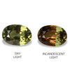 2.30cts Natural Alexandrite Color Change Gemstone - Oval Shape - NGT1562-1