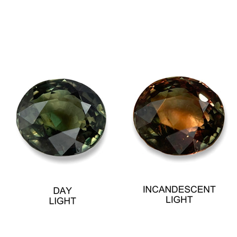 1.35cts Natural Alexandrite Color Change Gemstone - Oval Shape - NGT1574-5