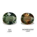 1.30cts Natural Alexandrite Color Change Gemstone - Oval Shape - NGT1574-7