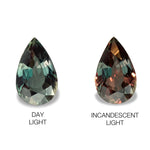 2.607cts Natural Alexandrite Colour Change - Pear Shape - NGT1601