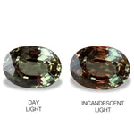 3.26cts Natural Alexandrite Colour Change Gemstone - Oval Shape - NGT1607