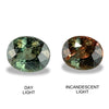 1.084cts Natural Alexandrite Color Change Gemstone - Oval Shape - RGT62