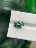 4.24cts Natural Gemstone Mint Green Tourmaline - Oval Shape - 137RGT